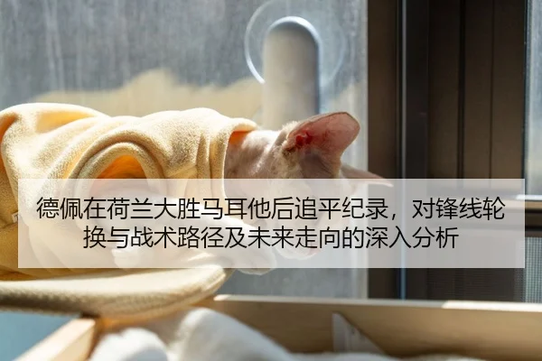 德佩在荷兰大胜马耳他后追平纪录，对锋线轮换与战术路径及未来走向的深入分析
